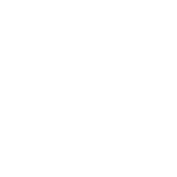 BMW logo